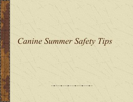 Canine Summer Safety Tips. Hot weather can make anyone feel uncomfortable, and your dog is no exception. Here are some safety concerns for responsible.