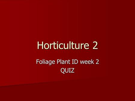 Foliage Plant ID week 2 QUIZ