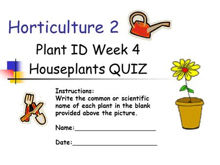 Plant ID Week 4 Houseplants QUIZ