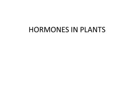 HORMONES IN PLANTS. Plant hormones(phytohormones) often triggered by external environmental factors. The best understood plant hormones are: – Auxins.