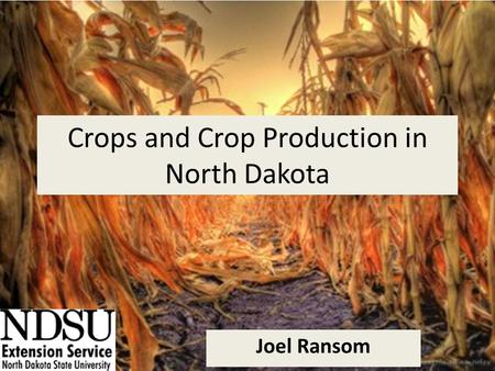 Crops and Crop Production in North Dakota Joel Ransom.