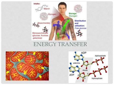 Energy Transfer.