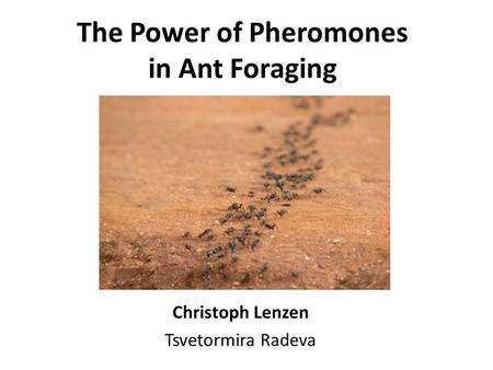 The Power of Pheromones in Ant Foraging Christoph Lenzen Tsvetormira Radeva.