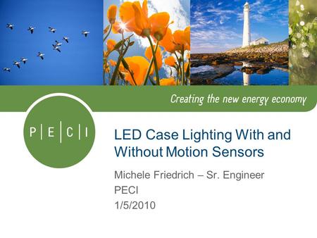 LED Case Lighting With and Without Motion Sensors Michele Friedrich – Sr. Engineer PECI 1/5/2010.