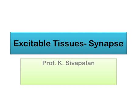 Excitable Tissues- Synapse Prof. K. Sivapalan. Synapses June 2013Synapse2.