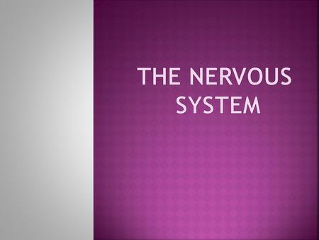  The nervous system has three specific functions:  1. Sensory input. Sensory receptors present in skin and organs respond to external and internal stimuli.