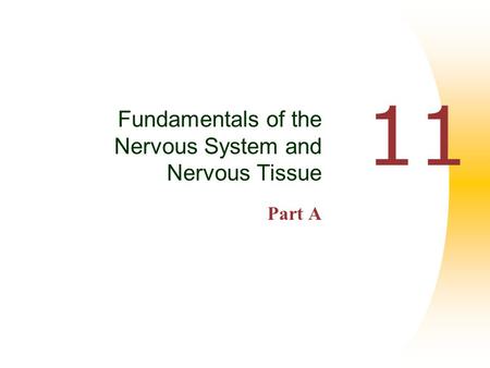 Fundamentals of the Nervous System and Nervous Tissue Part A