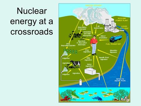 Nuclear energy at a crossroads. Benefits Reactors generate electricity without adding to global warming/air pollution. Small amt. of U gives off large.