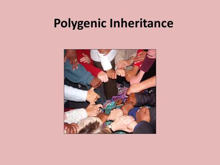 Polygenic Inheritance
