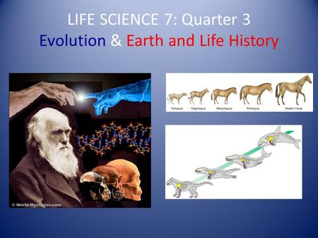 LIFE SCIENCE 7: Quarter 3 Evolution & Earth and Life History.