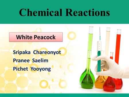 Chemical Reactions Sripaka Chareonyot Pranee Saelim Pichet Yooyong White Peacock.
