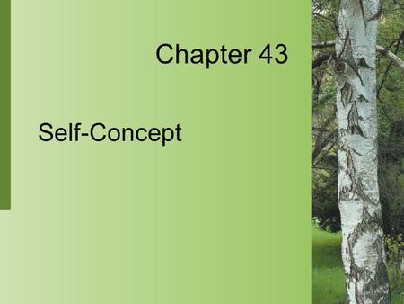 Chapter 43 Self-Concept.