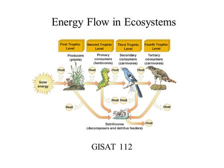 Energy Flow in Ecosystems GISAT 112. Objectives Define the terms ecosystem and ecology Describe how energy and matter flow in an ecosystem Do calculations.