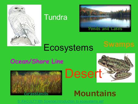 Desert Ecosystems Tundra Swamps Mountains Ocean/Shore Line