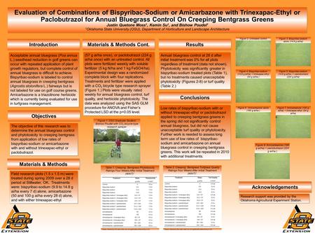 Evaluation of Combinations of Bispyribac-Sodium or Amicarbazone with Trinexapac-Ethyl or Paclobutrazol for Annual Bluegrass Control On Creeping Bentgrass.