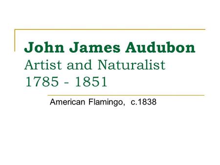 John James Audubon Artist and Naturalist 1785 - 1851 American Flamingo, c.1838.