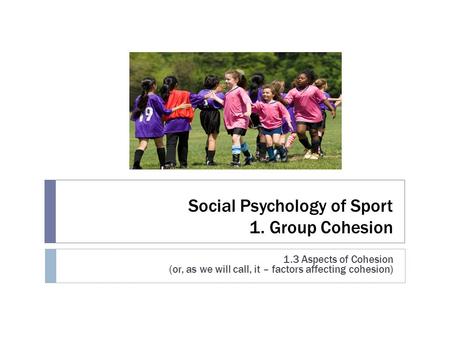 Social Psychology of Sport 1. Group Cohesion