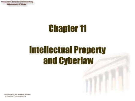 Chapter 11 Intellectual Property and Cyberlaw
