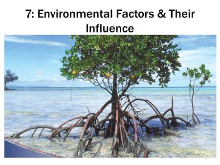 7: Environmental Factors & Their Influence