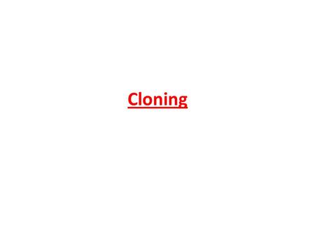 Cloning. The first human being has been cloned! What would be your view on this if it happened?
