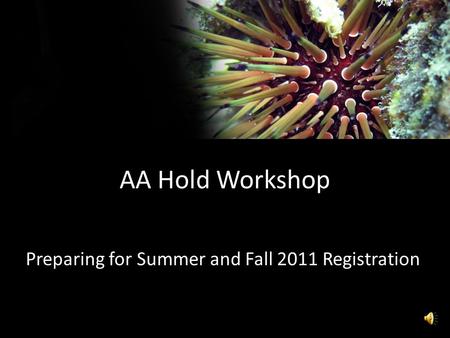 AA Hold Workshop Preparing for Summer and Fall 2011 Registration.