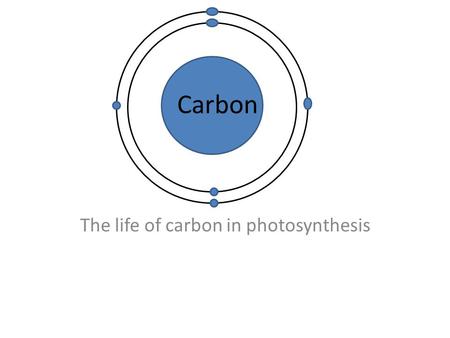 The life of carbon in photosynthesis Carbon. What happens to carbon during photosynthesis? First, let’s start off with what photosynthesis is. Photosynthesis.