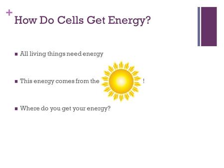 How Do Cells Get Energy? All living things need energy