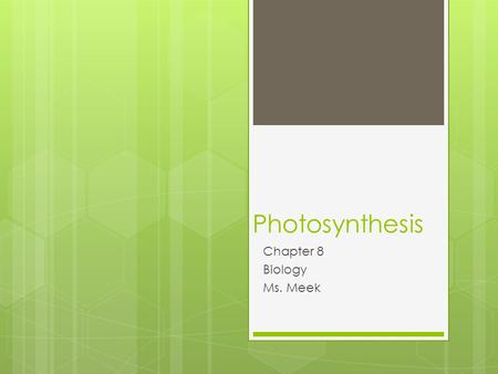 Photosynthesis Chapter 8 Biology Ms. Meek. Hook  If all the plants in the world died would we still be able to live?  Silently  Write down your thoughts.