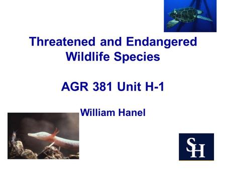 Threatened and Endangered Wildlife Species AGR 381 Unit H-1 William Hanel.