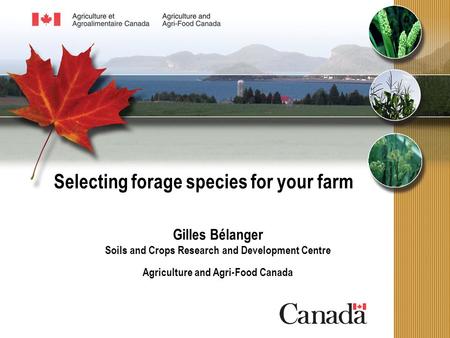 Selecting forage species for your farm Gilles Bélanger Soils and Crops Research and Development Centre Agriculture and Agri-Food Canada.