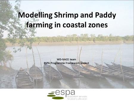 Modelling Shrimp and Paddy farming in coastal zones WD-NACE team ESPA Programme Framework project.