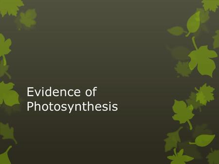 Evidence of Photosynthesis