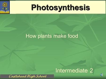 C astlehead H igh S chool Photosynthesis Intermediate 2 How plants make food.