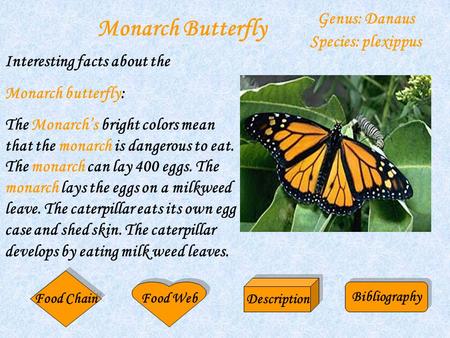 Monarch Butterfly Genus: Danaus Species: plexippus Interesting facts about the Monarch butterfly: The Monarch’s bright colors mean that the monarch is.