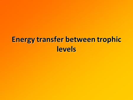 Energy transfer between trophic levels. How much of the Sun’s energy is actually converted to organic matter? Why?