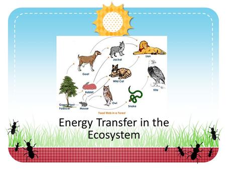 Energy Transfer in the Ecosystem. Engage Pre-Assessment: