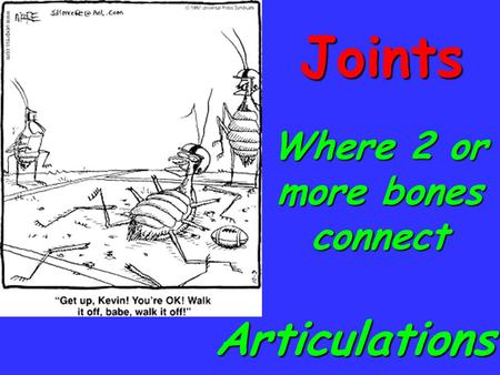 Joints Articulations Where 2 or more bones connect.