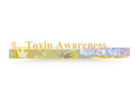 Toxin Awareness All the following information is compiled from works by Linda Chaé and the ToxicFree™ FoundationToxicFree™ Foundation ToxicFree™ Foundation:
