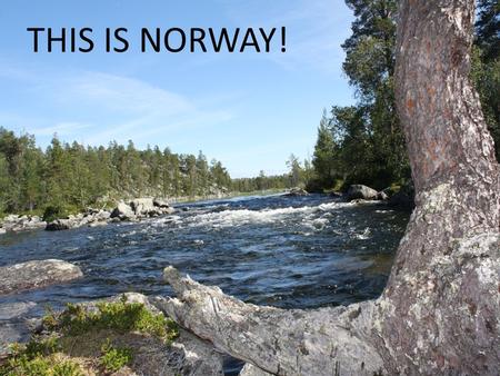 THIS IS NORWAY!. Outdoor activities Weather and landscape – Snow – Summer and 30 degrees – Mountains – Agriculture landscape.