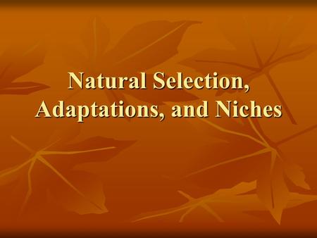 Natural Selection, Adaptations, and Niches Essential Targets: Define the terms: Natural Selection, Adaptation, and Niche Define the terms: Natural Selection,