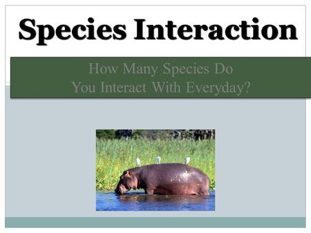 How Many Species Do You Interact With Everyday?