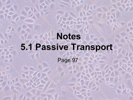 Notes 5.1 Passive Transport Page 97. With your table: 1) Watch this video.video 2) Answer these questions: a) What is this organism? b) What is the organism.