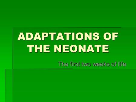 ADAPTATIONS OF THE NEONATE The first two weeks of life.