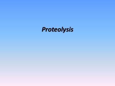Proteolysis.