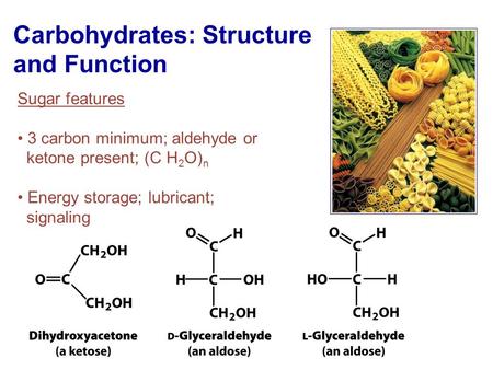 Carbohydrates: Structure and Function