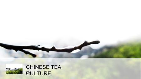 CHINESE TEA CULTURE Lily. CONTENTS origin ofChinesetea classification oftea roasting and brewing.