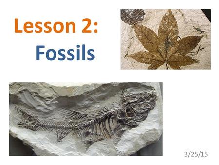 Lesson 2: 	Fossils 3/25/15.
