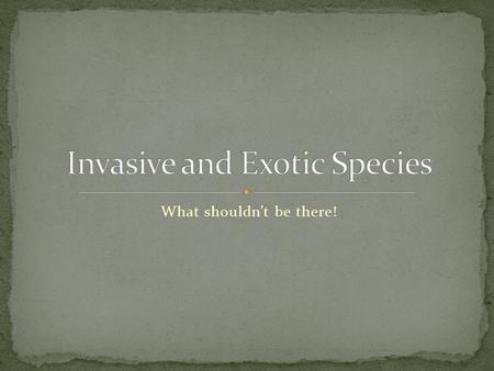 What shouldn’t be there!. Invasive or Exotic Species are organisms that have been introduced into an environment. It does not naturally occur in a specific.