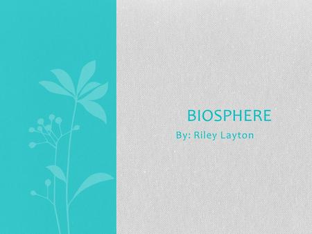 Biosphere By: Riley Layton.
