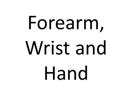 Forearm, Wrist and Hand.